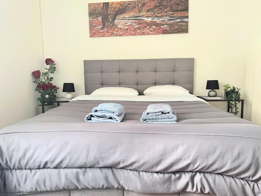 Amazing 3Bdr Apt With Unique Roof Garden In Plaka Ateny Zewnętrze zdjęcie