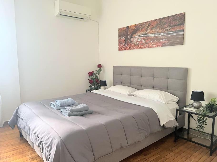 Amazing 3Bdr Apt With Unique Roof Garden In Plaka Ateny Zewnętrze zdjęcie