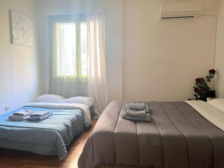 Amazing 3Bdr Apt With Unique Roof Garden In Plaka Ateny Zewnętrze zdjęcie