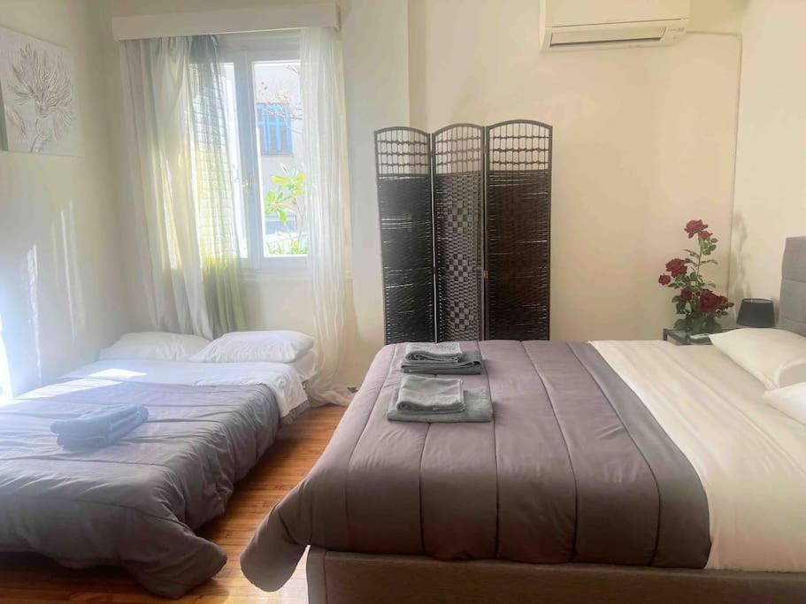 Amazing 3Bdr Apt With Unique Roof Garden In Plaka Ateny Zewnętrze zdjęcie